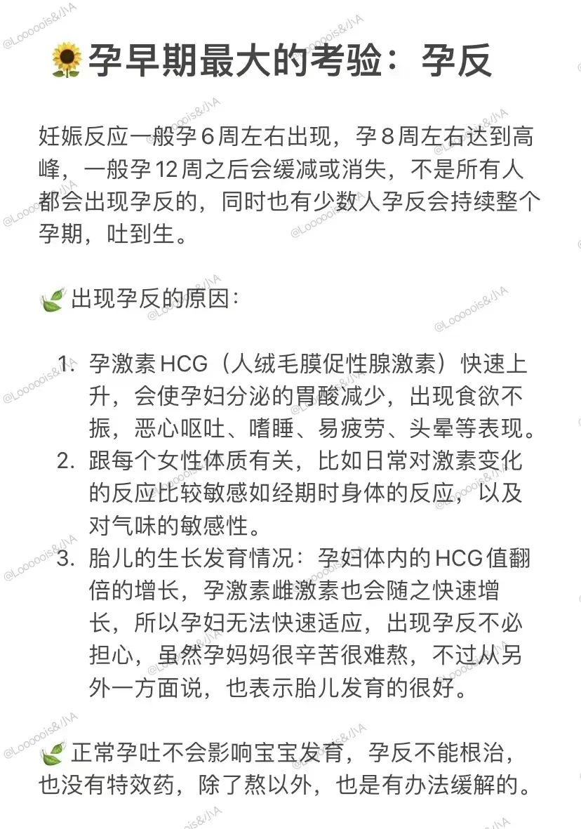 孕反不是只能熬，有很多办法可以去缓解的,试管供卵成功率