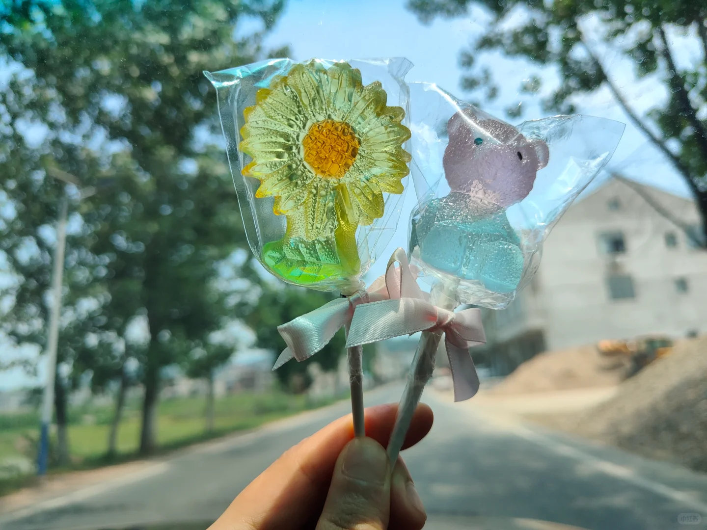 移植后经历腹痛，医生说是幅度过大卵巢扭转,哪里能找到代孕公司