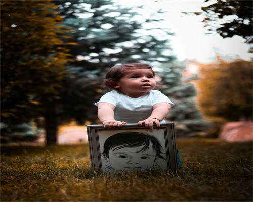 探秘成都试管助孕：费用、流程及优势全解析