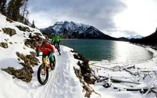 重庆试管婴儿费用报销指南：医保覆盖与助孕支持